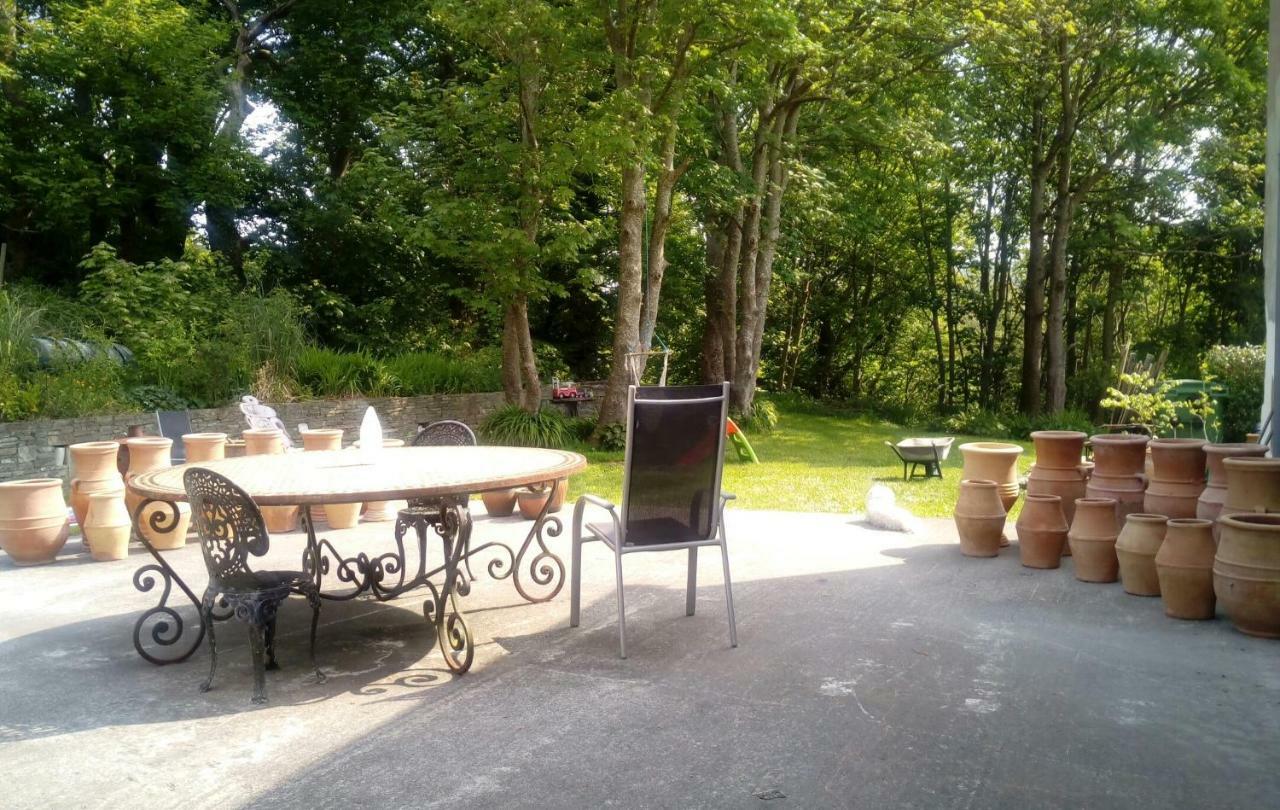 Sunnyside-Cottage Ennistimon Extérieur photo