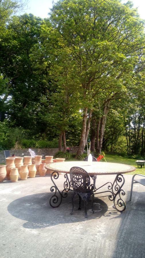 Sunnyside-Cottage Ennistimon Extérieur photo